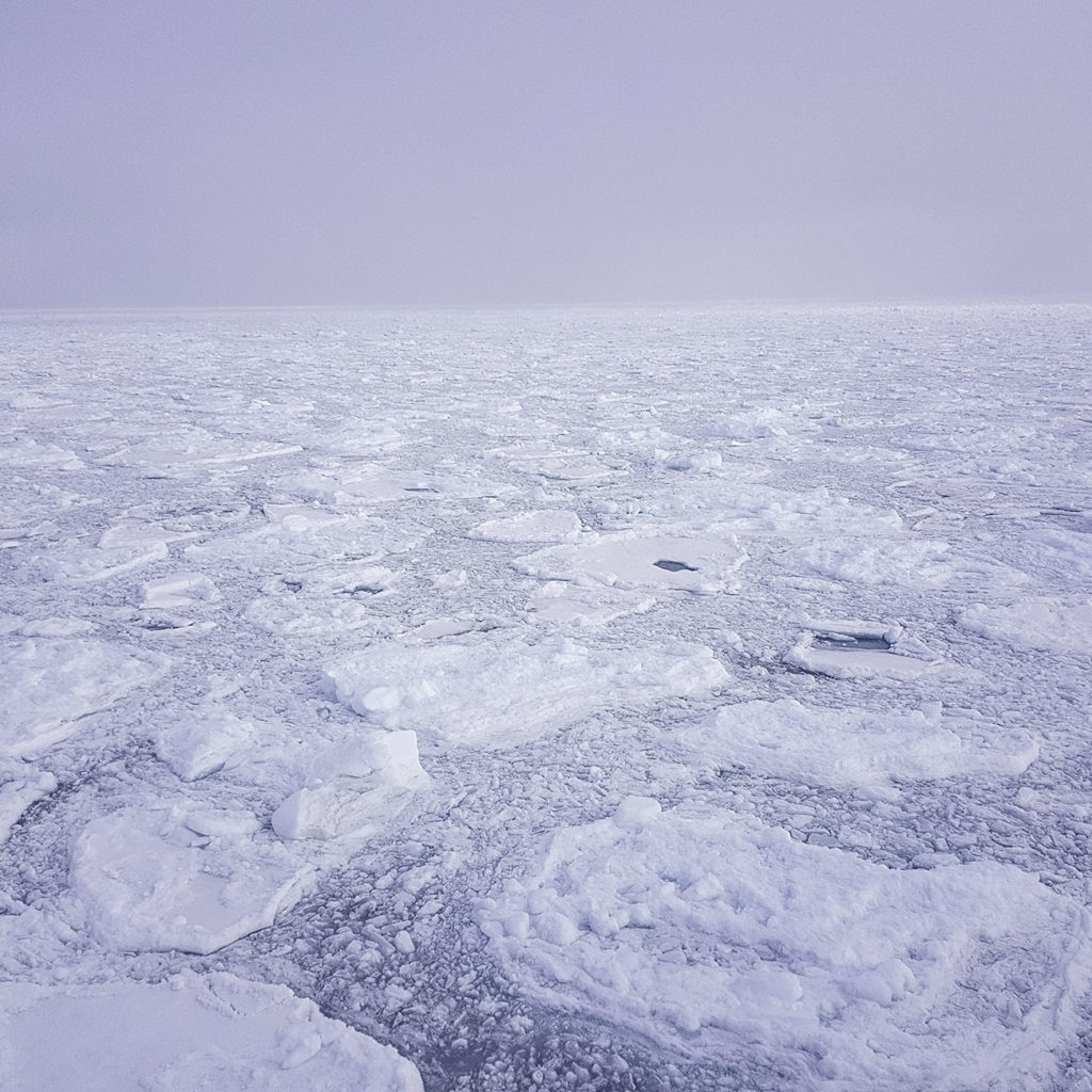 Banquise Croisière Polaire Arctique Antarctique Grands Espaces